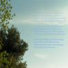  Morning Has Broken3  בוקר
